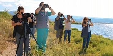 izmit-korfezinin-pembe-susleri-geldi-pZSm4vK9.jpg