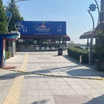 Kafede çıkan silahlı kavgada kardeşten sonra ağabey de hayatını kaybetti