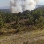 Kocaeli’de orman yangını