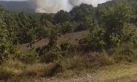 Kocaeli’de orman yangını