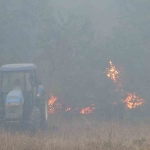 Kocaeli’deki orman yangını 3 saatte kontrol altına alındı