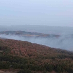 Kocaeli’deki orman yangını 3 saatte kontrol altına alındı