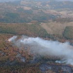 Kocaeli’deki orman yangını 3 saatte kontrol altına alındı