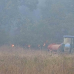 Kocaeli’deki orman yangını 3 saatte kontrol altına alındı