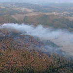 Kocaeli’deki orman yangını 3 saatte kontrol altına alındı