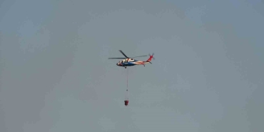 Kocaeli’deki orman yangını 3 saatte kontrol altına alındı