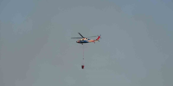 Kocaeli’deki orman yangını 3 saatte kontrol altına alındı