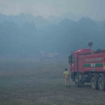Kocaeli’deki orman yangını 3 saatte kontrol altına alındı