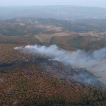 Kocaeli’deki orman yangını 3 saatte kontrol altına alındı
