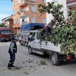 korfezde-yesil-alanlara-bakim-U7ZTRmzK.jpg