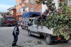 korfezde-yesil-alanlara-bakim-U7ZTRmzK.jpg