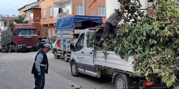 korfezde-yesil-alanlara-bakim-U7ZTRmzK.jpg
