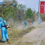 park-ve-bahcelerde-sonbahar-temizligi-312uTEQC.jpg