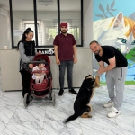 10 Ayda 170 Sokak Hayanına Yuva Bulundu