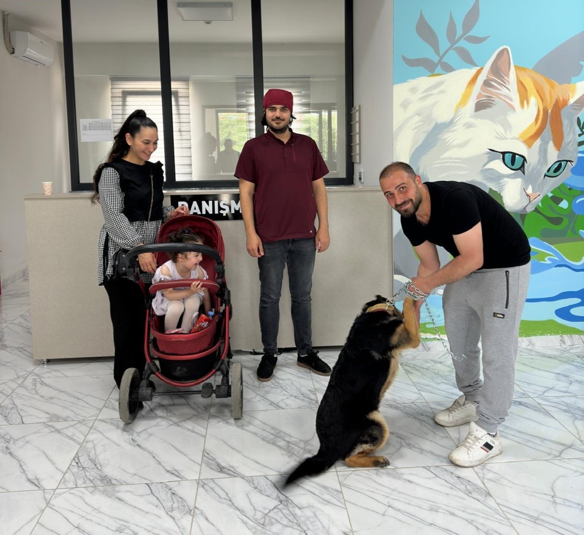 10 Ayda 170 Sokak Hayanına Yuva Bulundu