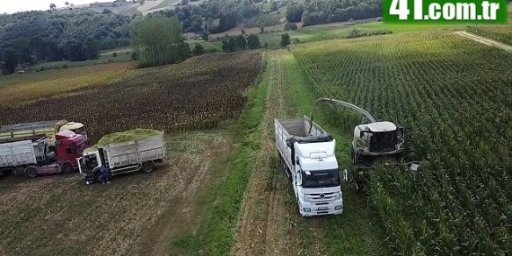 Büyükşehir destekledi, üreticinin yüzü güldü