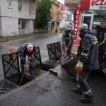 Çayırovada Mazgallar Temi̇zleni̇yor