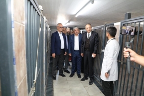 Di̇lovasında Hayvanları Koruma Gününde Farkındalık