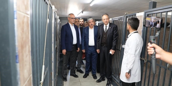Di̇lovasında Hayvanları Koruma Gününde Farkındalık