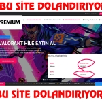 dolan