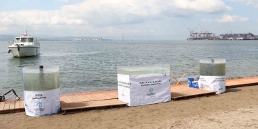izmit-korfezine-6-bin-balik-daha-salinacak-eWIcSzf6.jpg
