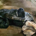 Şüpheli̇ Paketten Kamp Çadırı Çıktı