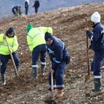 kocaelide-4-bin-agac-toprakla-bulusturuluyor-aNMKpbAX.jpg
