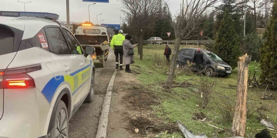Takla atan otomobil ağaçları devirdi