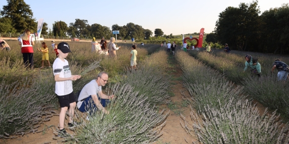 İzmit Belediyesi 2024 yılında da üretime yön verdi