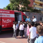 izmit-belediyesi-2024te-halk-sagligini-korurken-sokak-hayvanlarini-unutmadi-wIALLpWc.jpeg