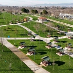 kocaelide-son-22-yilda-dikilen-agac-sayisi-9-milyonu-gecti-eZegIAUz.jpg