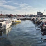 marmara-denizinde-musilaj-yeniden-ortaya-cikti-bsd7EUkd.jpg