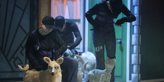 “Şebo Müzikali” sokak hayvanlarının sesi oldu