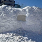 alaska-degil-kocaeli-thrNGLWs.jpg