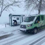 sokak-hayvanlari-unutulmadi-6mIjUEmb.jpg