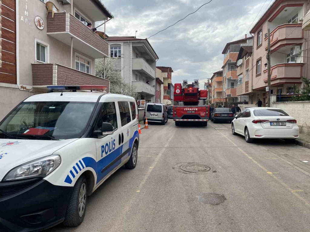 a police car and a fire truck on a street