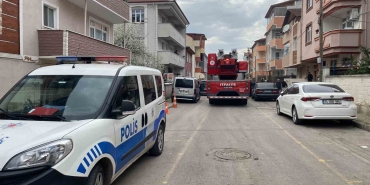 a police car and a fire truck on a street