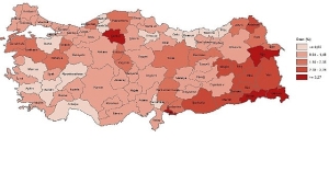 il-seviyesinde-beseri-kalkinma-endeksi-2018-2022-u8ilrwOX.jpg