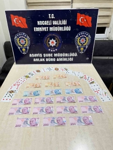 kocaelide-kumar-baskini-T2FdCN1b.jpg