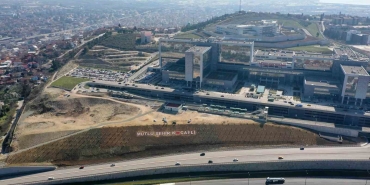 sehir-hastanesi-baglanti-yoluna-200-himalaya-sediri-dikildi-8eKjLm8K.jpg