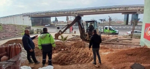 tavsancildaki-viyaduge-estetik-dokunus-m7vKvVM2.jpg
