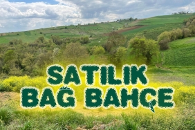 Kaçırılmayacak Fırsat: Kandıra'da Sahibinden Satılık Bağ Bahçe!