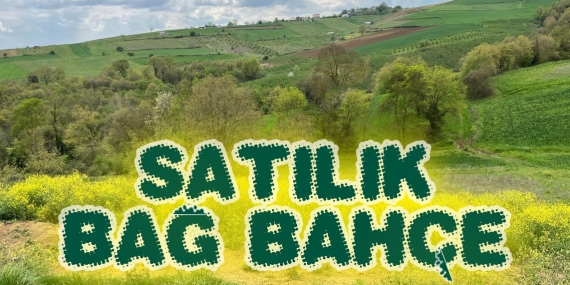 Kaçırılmayacak Fırsat: Kandıra’da Sahibinden Satılık Bağ Bahçe!