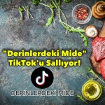 Yeni Proje (3)