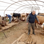 basiskeledeki-kurbanlik-satis-yerinde-hazirliklar-tamam-8r9ghkI2.jpg
