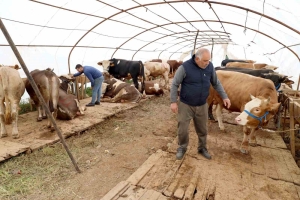 basiskeledeki-kurbanlik-satis-yerinde-hazirliklar-tamam-8r9ghkI2.jpg