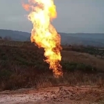 faylikoyde-deprem-oncesi-garip-olay-6gb8xFzl.jpg