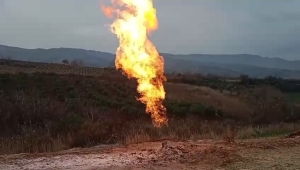 faylikoyde-deprem-oncesi-garip-olay-6gb8xFzl.jpg
