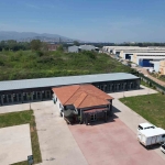 kahraman-kopek-proteonun-adinin-yasadigi-merkez-sokak-hayvanlarina-sifa-dagitiyor-tBdJ8UtE.jpg