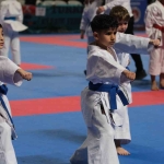 kocaelide-3-bin-848-sporcu-tatamiye-cikacak-aTPeOnzr.jpg